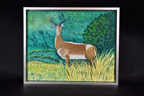 South African Antelope $300 with frame + shipping and handling